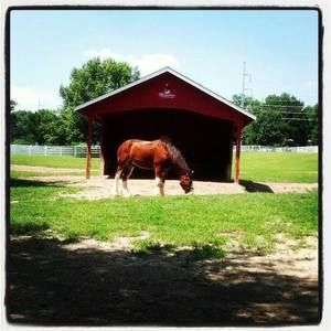 Meet your Posher, Maria