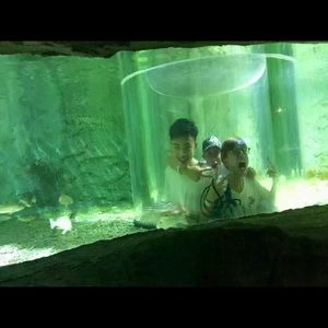 Meet your Posher, Jason