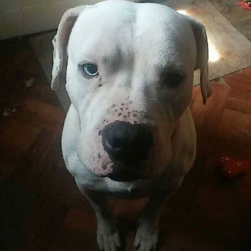 Meet your Posher, Maggie