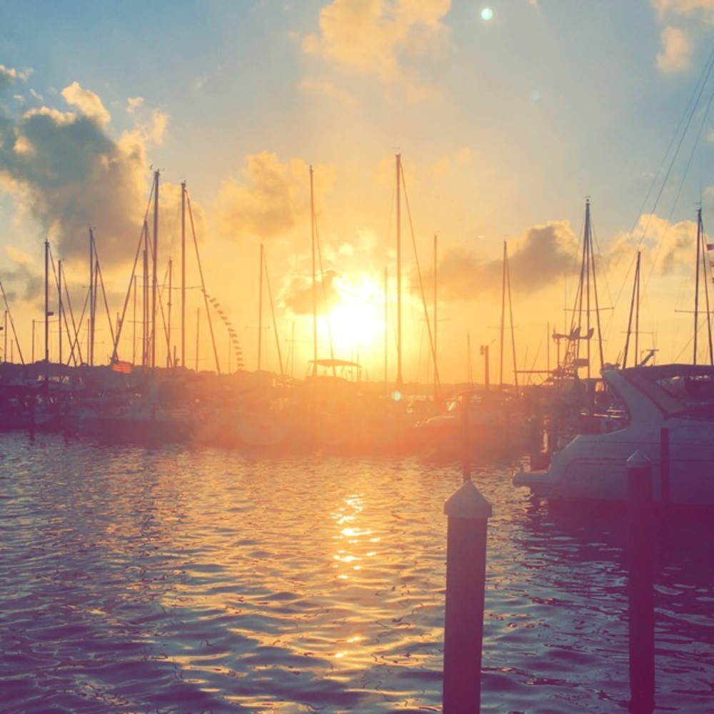 Meet your Posher, Graham