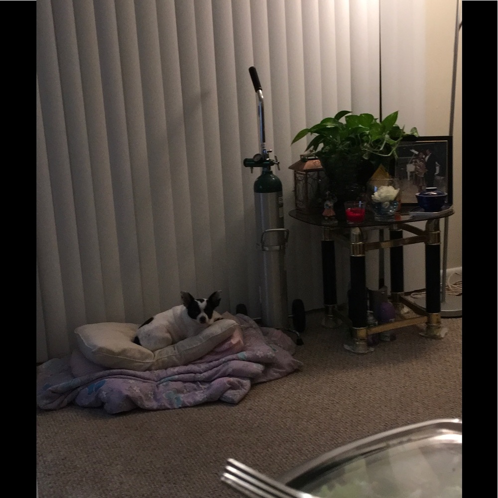 Meet your Posher, Sharon