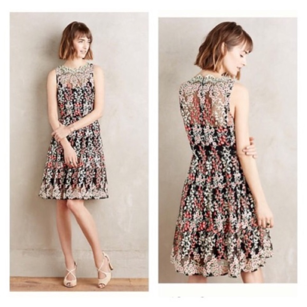 In search of Anthropology HD by Paris Emilia dress