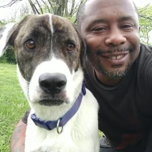 Meet your Posher, Jammer