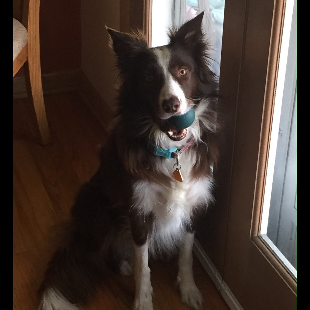 Meet your Posher, Michele