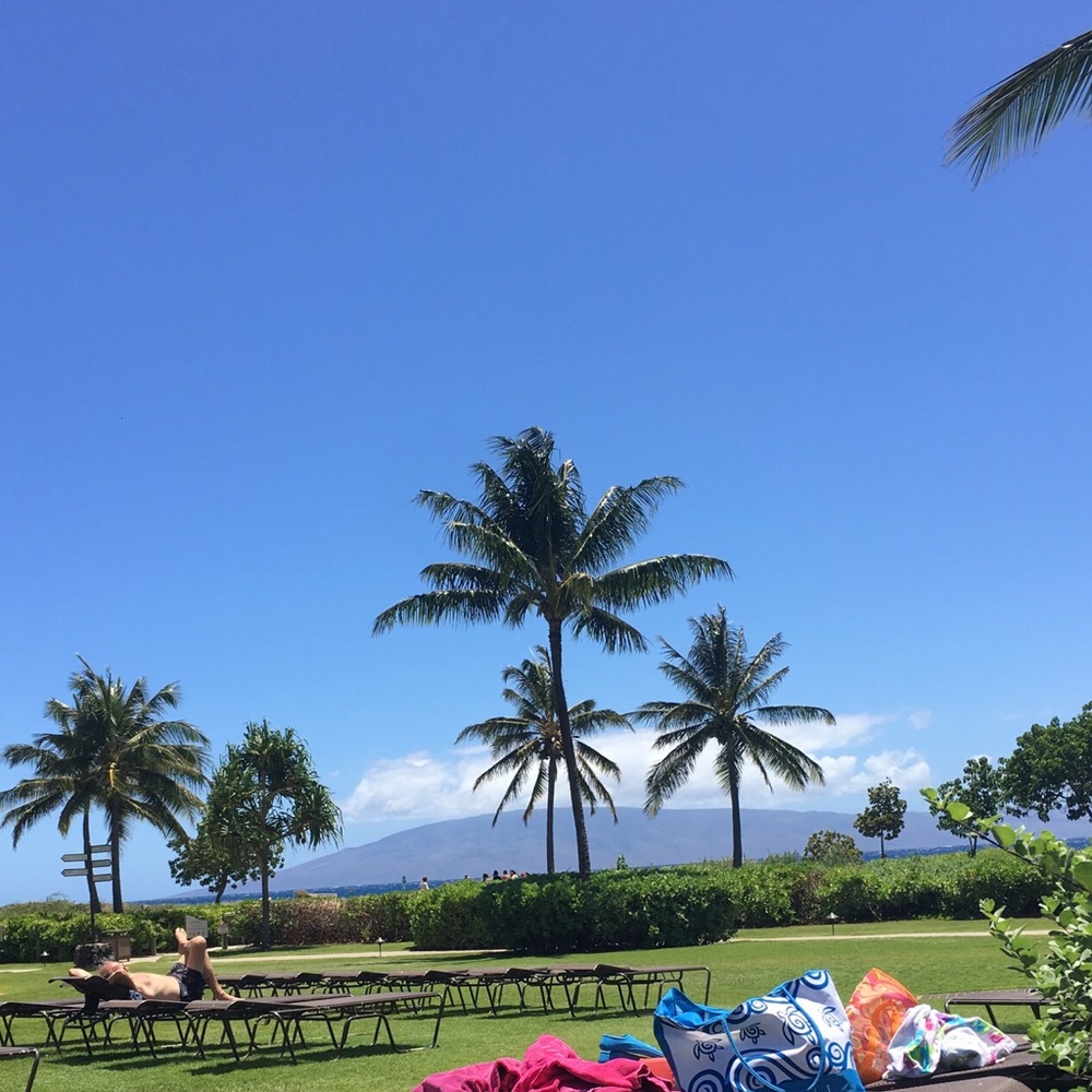 Meet your Posher, Evelyn