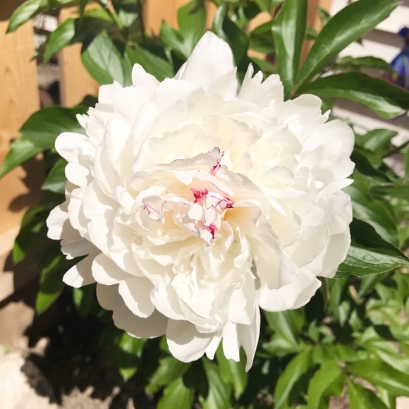 Welcome 🖤 - Picture 5 of 6