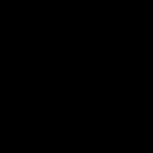 Meet your Posher, Adrian