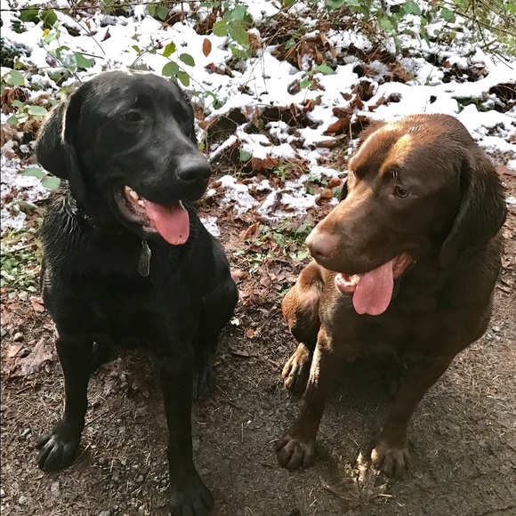 Meet your Posher, Randy - Picture 2 of 8