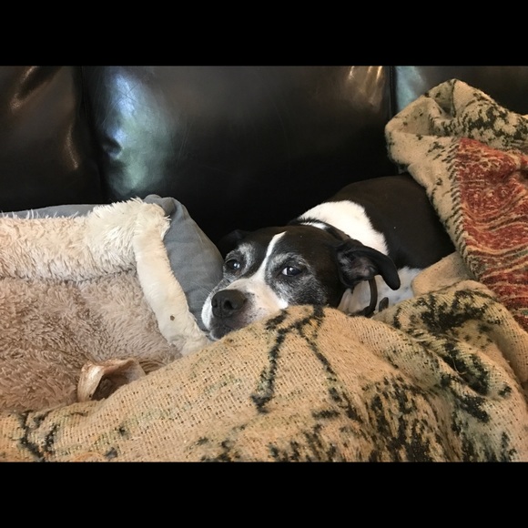 Meet your Posher, Randy - Picture 3 of 8