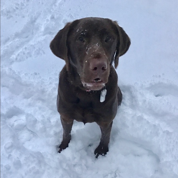 Meet your Posher, Randy - Picture 7 of 8