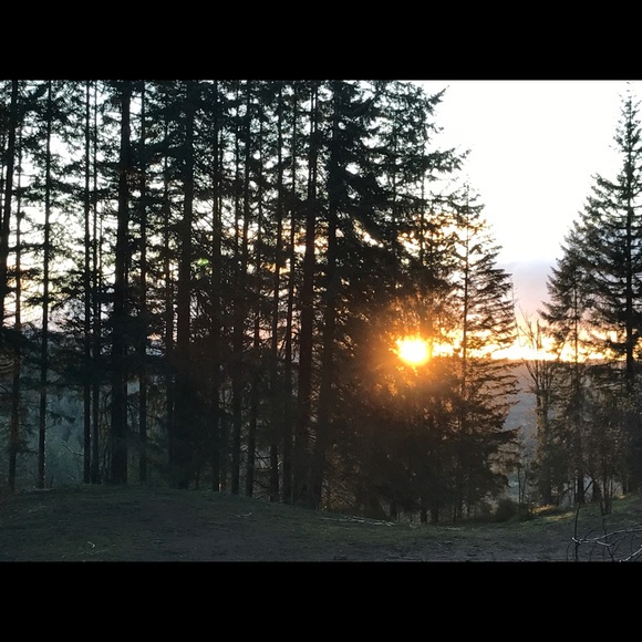 Meet your Posher, Randy - Picture 8 of 8