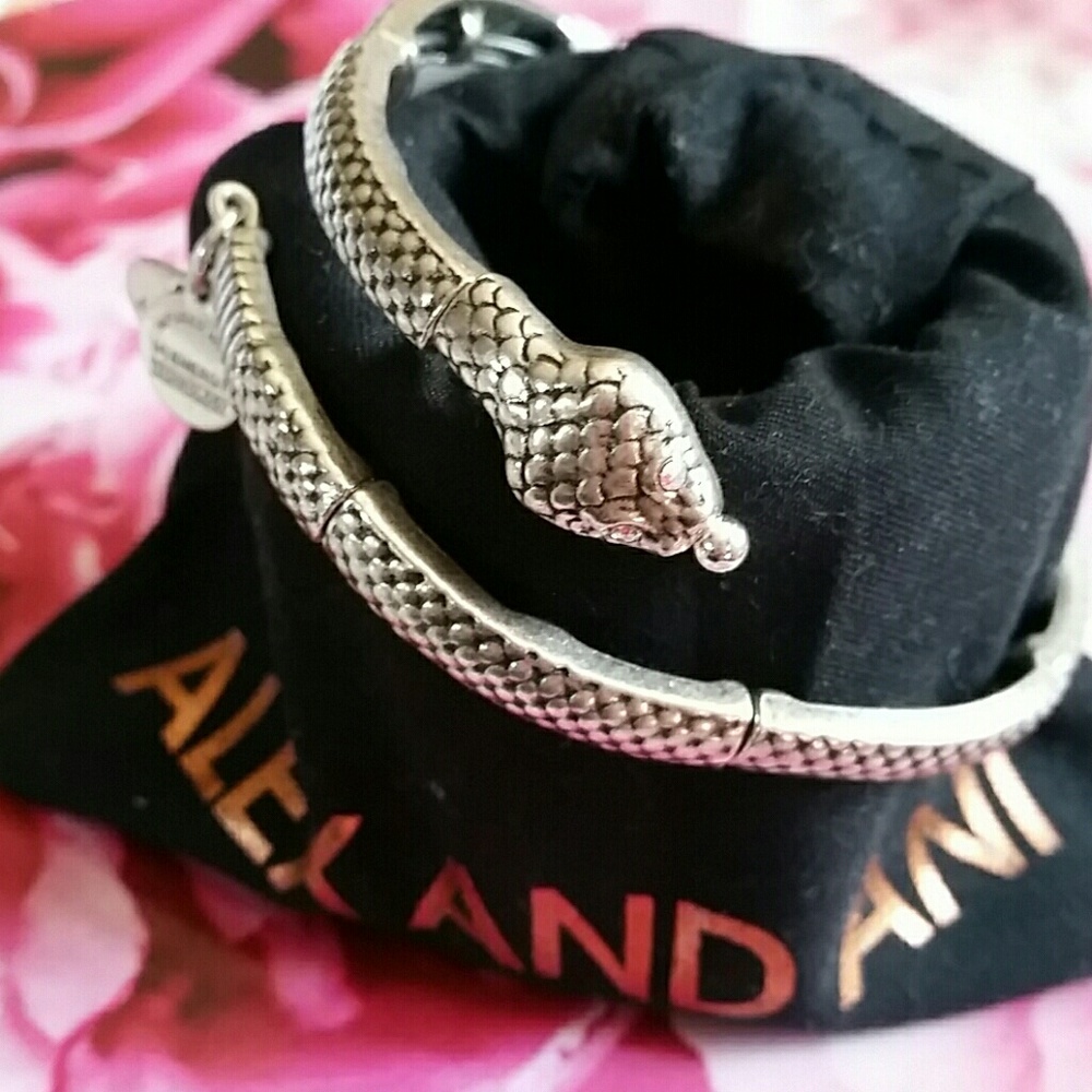 AUTHENTIC ALEX and ANI