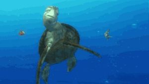 Meet your Posher, Carla