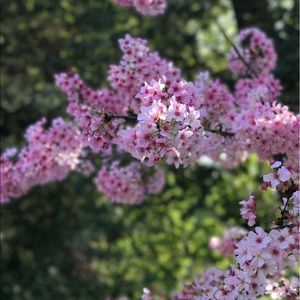 Meet your Posher, Yanchao