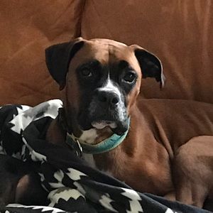 Meet your Posher, Gabe