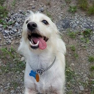 Meet your Posher, Drema