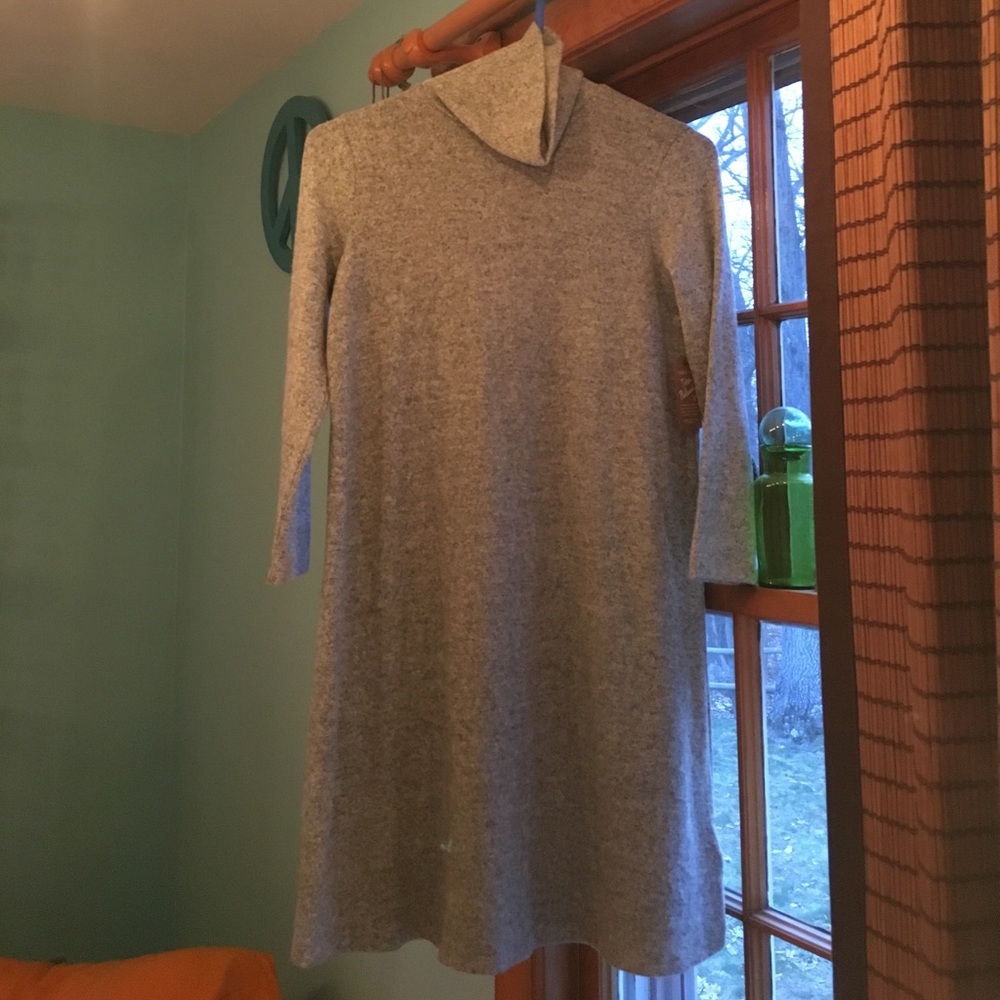 NWT American Eagle turtleneck dress. Size S.