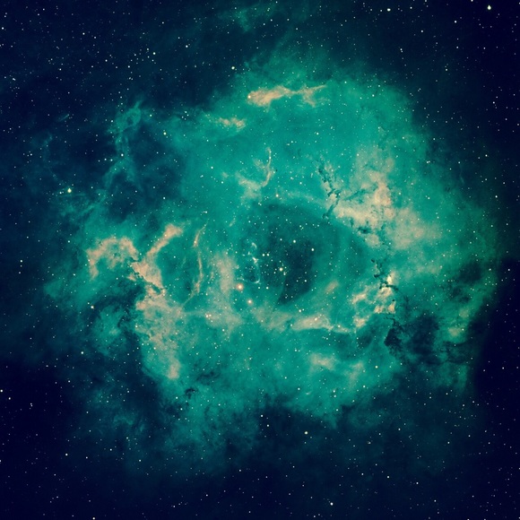 Meet your Posher, Fiona - Picture 1 of 1