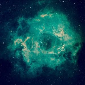 Meet your Posher, Fiona