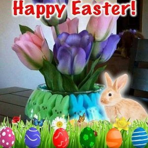 Meet your Posher, Joann