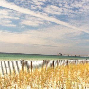 Meet your Posher, Lori brannon