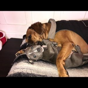 Meet your Posher, Maria