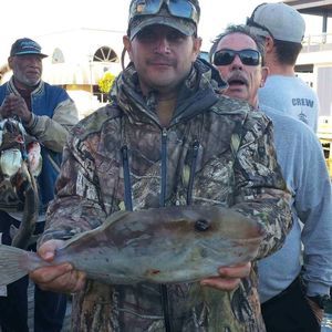 Meet your Posher, Donald