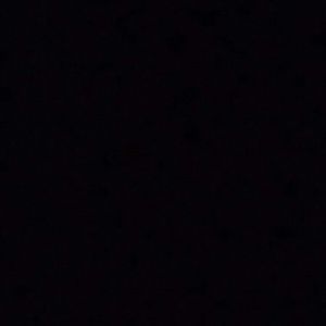 Meet your Posher, Debra