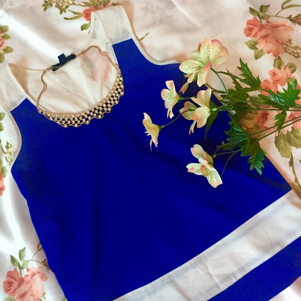 TODAY'S SALE✨ Sleeveless Blue Blouse 💙