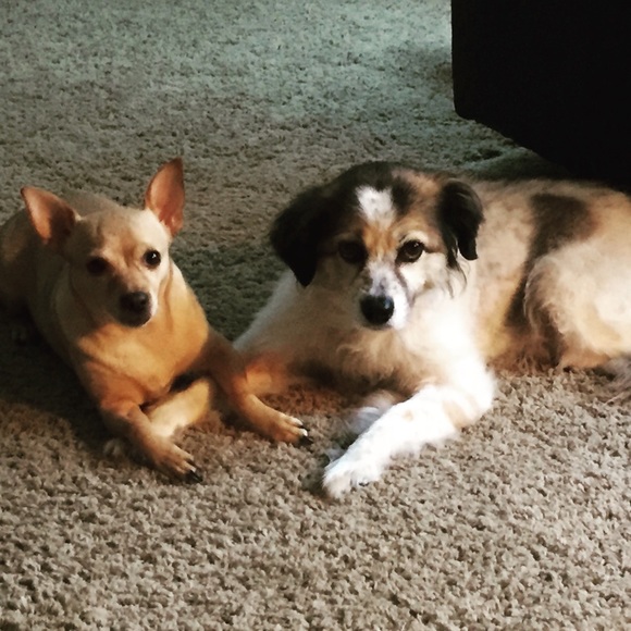 Please read before you make a purchase! - Picture 2 of 3