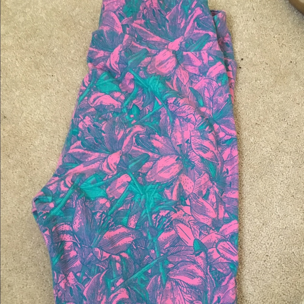 Teal and pink OS lilies. LLR