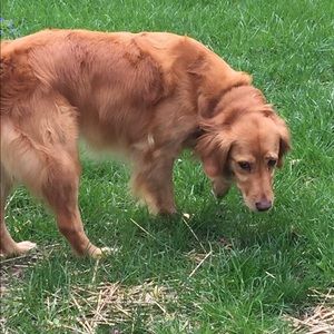 Meet your Posher, Jill