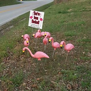 Meet your Posher, Penny