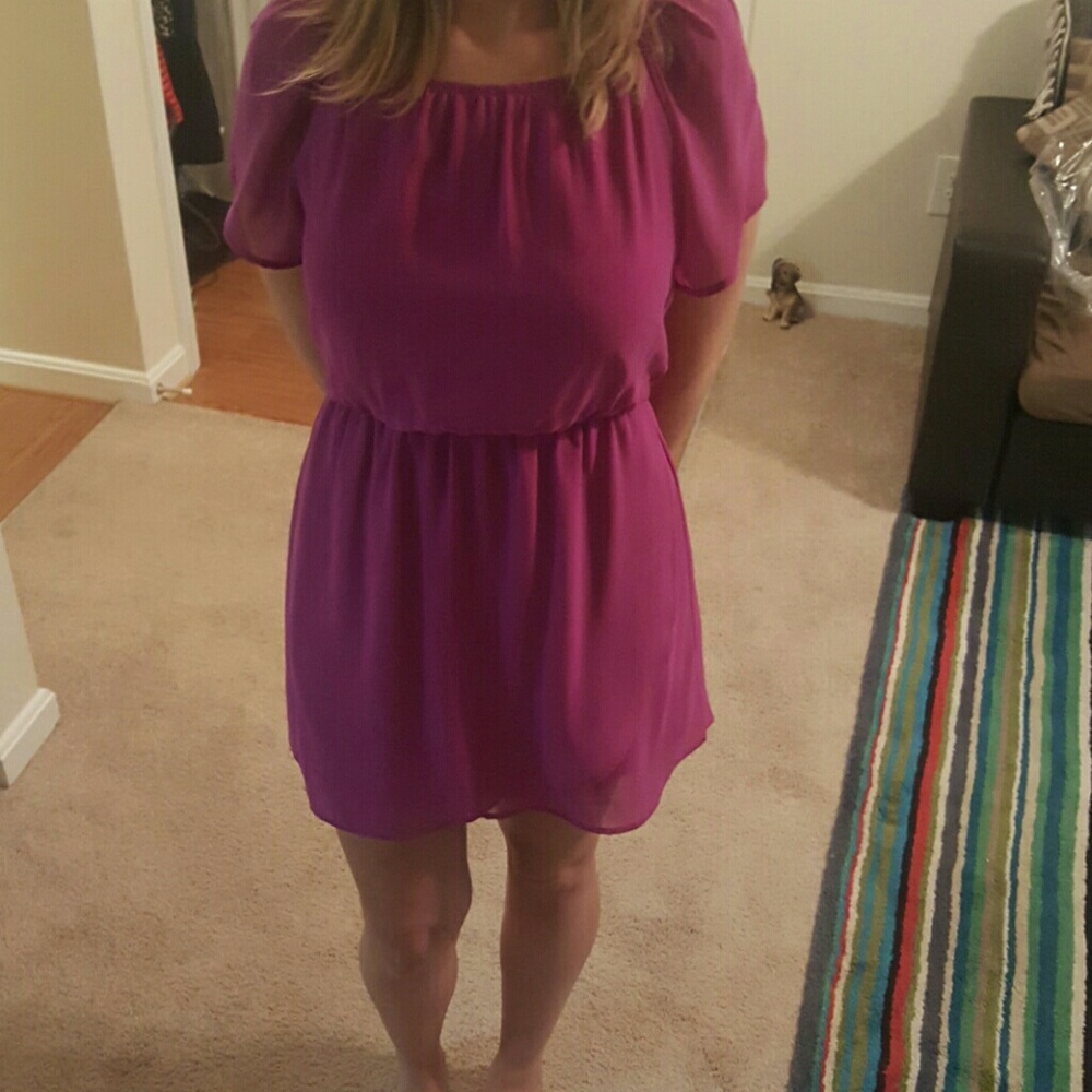 NWOT Fuschia Cache Dress