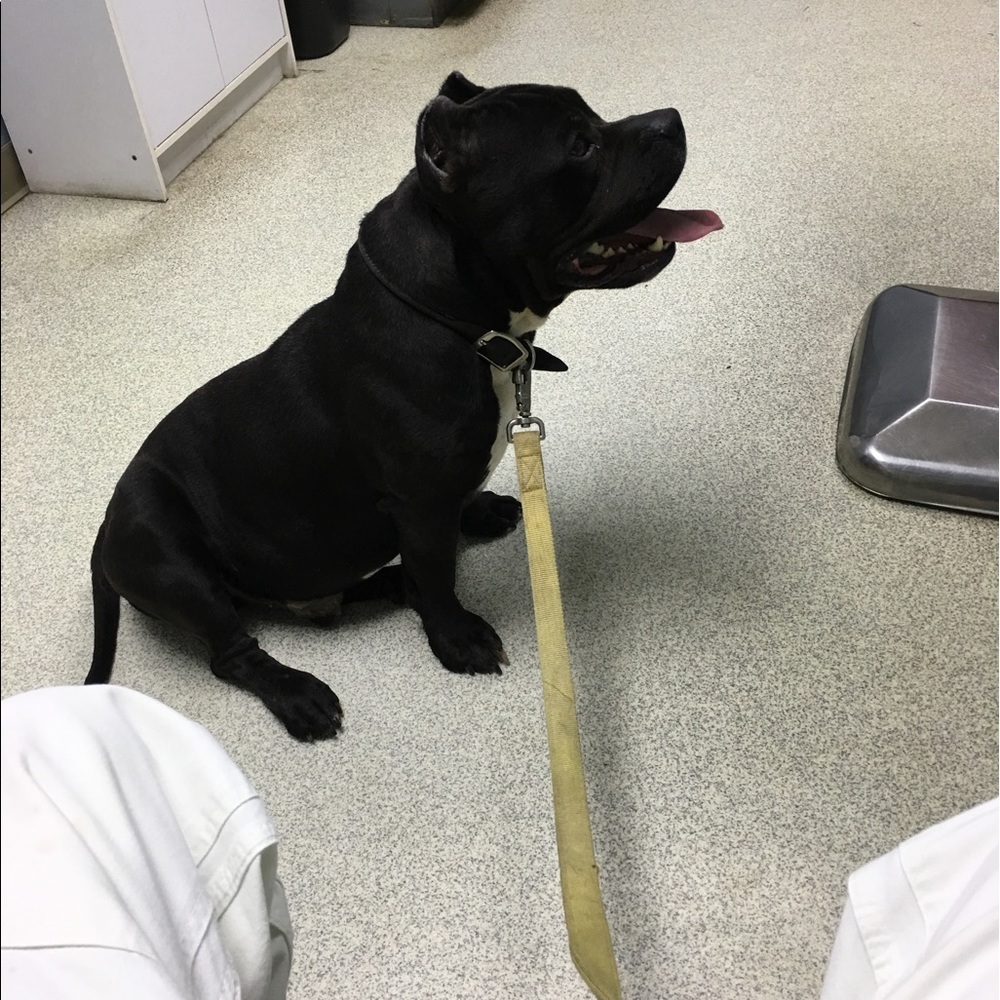 Meet your Posher, Byron