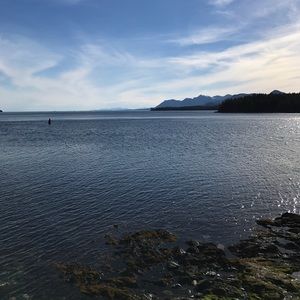 Meet your Posher, Jessie