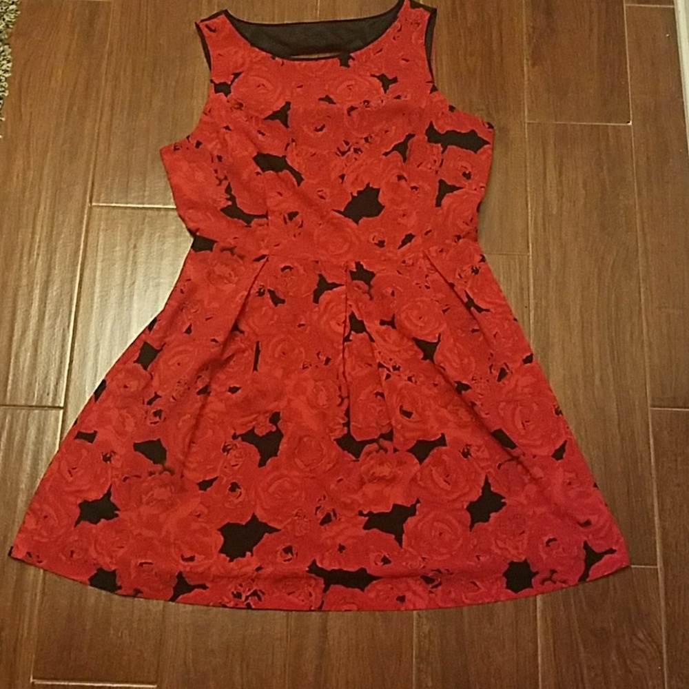 ModCloth Rose Dress
