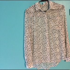 Cat patterned shirt