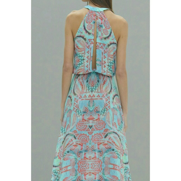 ALEXIS Silk Dress - Picture 2 of 6