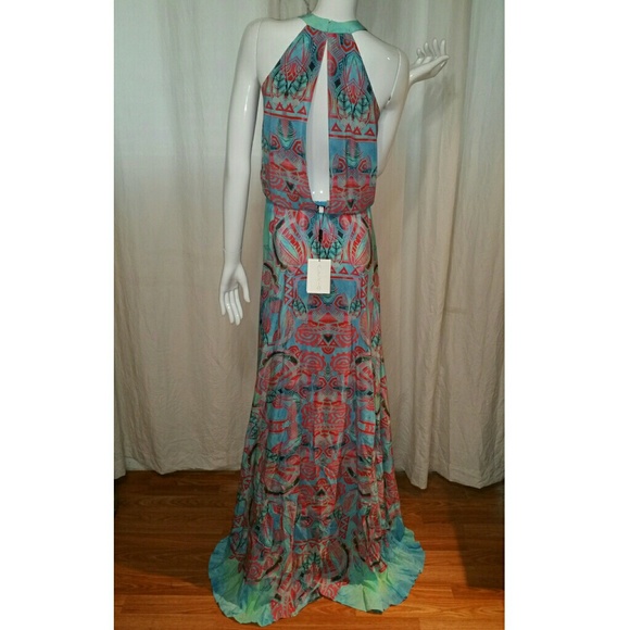 ALEXIS Silk Dress - Picture 5 of 6