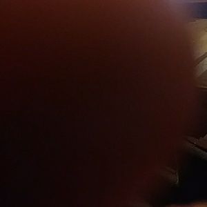 Meet your Posher, Daisy