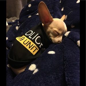 Meet your Posher, Linda