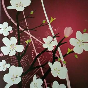 Meet your Posher, Cora