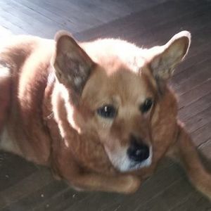 Meet your Posher, Philip