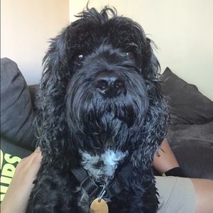 Meet your Posher, Marcia