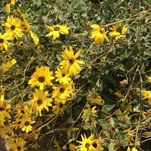 Meet your Posher, Jennyfer