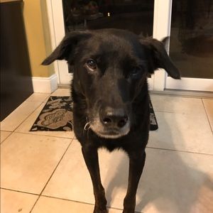 Meet your Posher, Allison