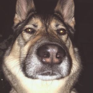 Meet your Posher, Jocelyn