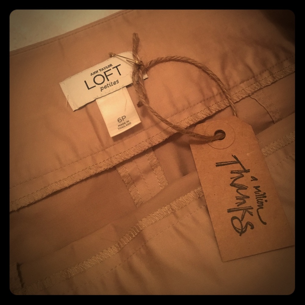 Ann Taylor Loft Petite skirt