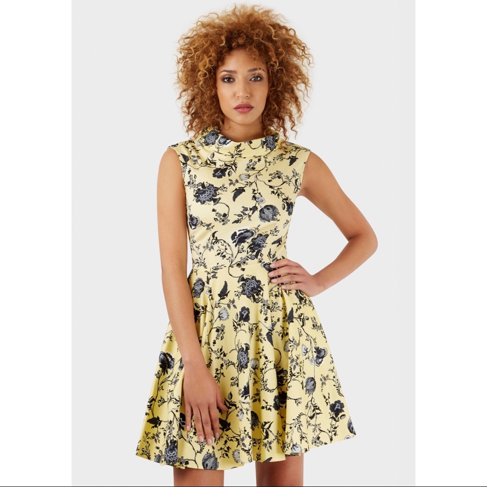 Floral Collared Skater Dress